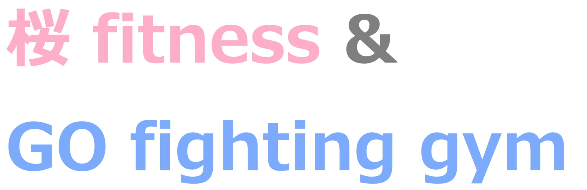 菱沼道場 桜フィットネス＆GOファイティングジム 宇都宮